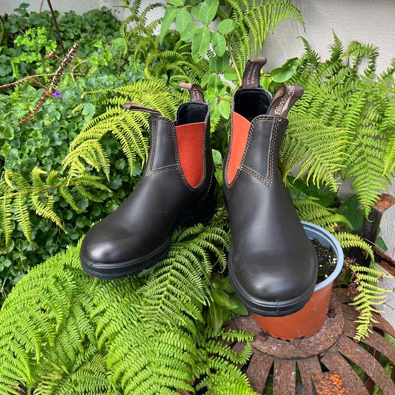 Pair of brown blundstone original boots with terracotta side panel with green ferns in the garden