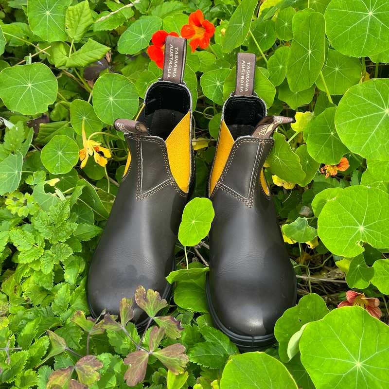 Blundstone Brown Chelsea boots with yellow accents and tags on a bed of green leaves and flowers 