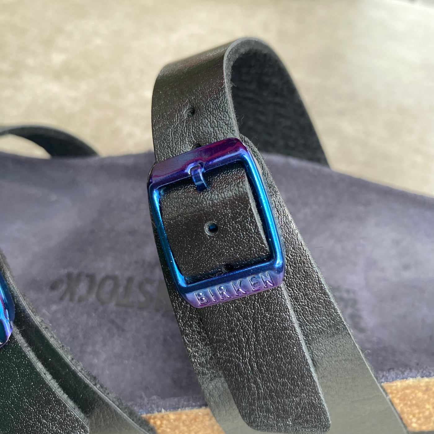 Black Mayari Graceful Licorice in stock in Bantry Ireland Free