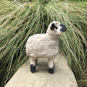 Ceramic Sheep by Anne Hayes