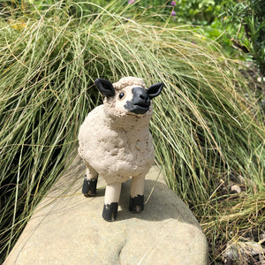 Ceramic Sheep by Anne Hayes