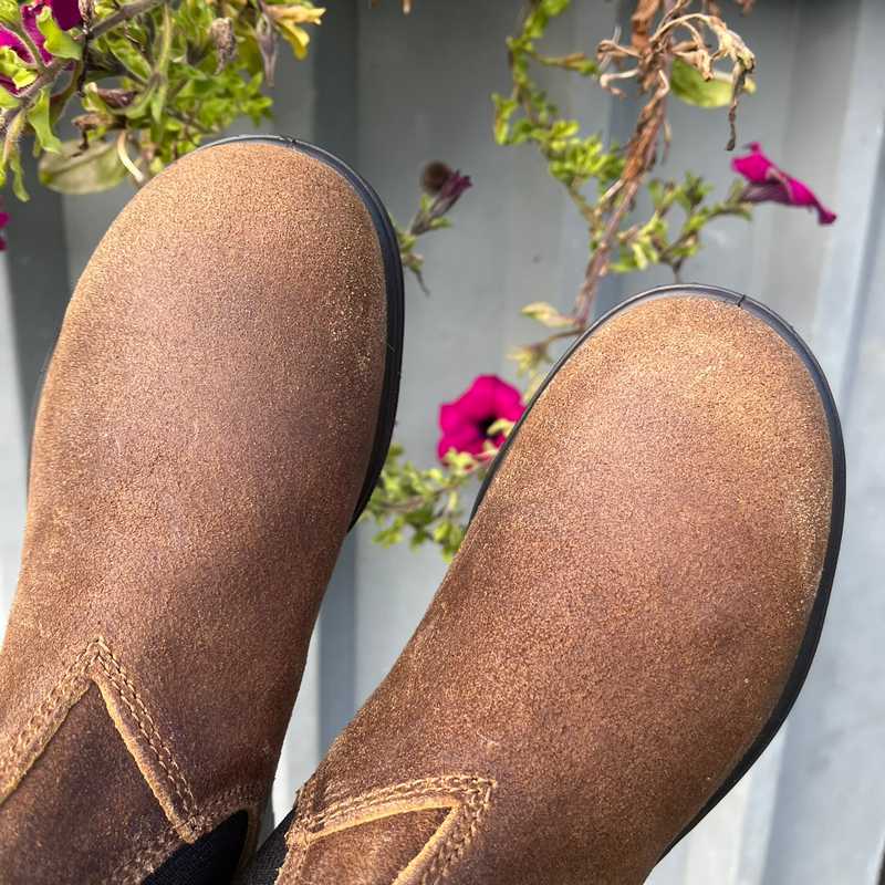 blundstone boots tobacco Blundstone 1911 Tobacco Waxy Suede Leather blundstone boots tobacco Blundstone 1911 Tobacco Waxy Suede Leather