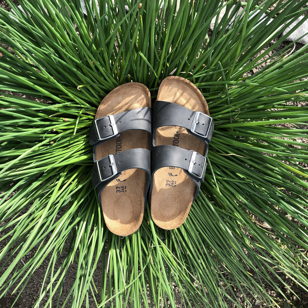 BIRKENSTOCK Arizona Black Oiled Leather in nature
