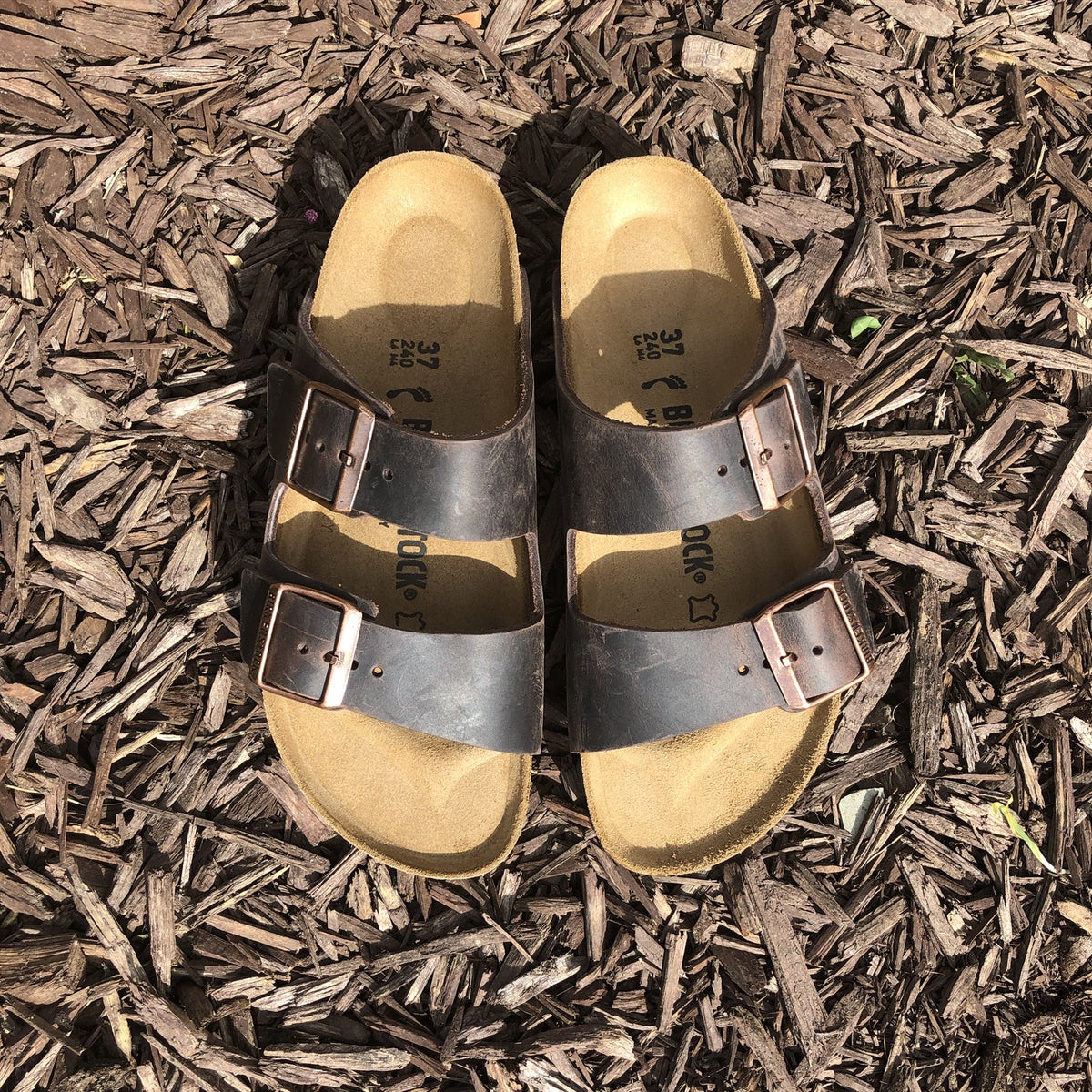 BIRKENSTOCK Arizona Habana Oiled Leather outside west Cork
