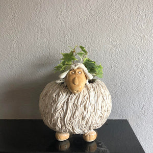 Dun Oir Sheep Planter - Craft Shop Bantry