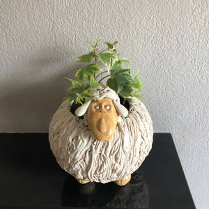 Dun Oir Sheep Planter - Craft Shop Bantry