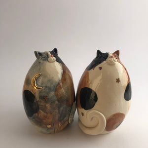 Dreaming Cats by Joanne Robey - Craft Shop Bantry